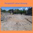  Terreno (Parcela) en venta en Danurejan, Yogyakarta, Danurejan, Yogyakarta, Yogyakarta