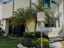 3 Habitación Villa en alquiler en Zapopan, Jalisco, Zapopan, Jalisco