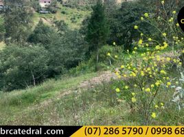  Land for sale in Llacao, Cuenca, Llacao