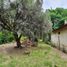 3 Bedroom Townhouse for sale in San Rafael Mendoza, San Rafael, Mendoza, Argentina