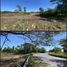  Land for sale in Comalcalco, Tabasco, Comalcalco