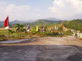  Land for sale in Castillejos, Zambales, Castillejos