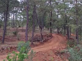  Terreno (Parcela) en venta en Mazamitla, Jalisco, Mazamitla
