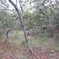 Terreno (Parcela) en venta en Mazamitla, Jalisco, Mazamitla