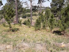  Terreno (Parcela) en venta en Calamuchita, Cordobá, Calamuchita