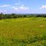  Land for sale in Selemadeg, Tabanan, Selemadeg