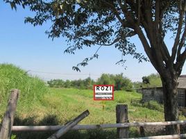  Terreno (Parcela) en venta en Rungkut, East Jawa, Rungkut