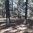  Land for sale in Omitlan De Juarez, Hidalgo, Omitlan De Juarez