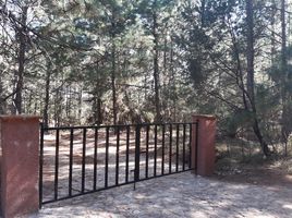  Land for sale in Omitlan De Juarez, Hidalgo, Omitlan De Juarez