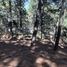  Land for sale in Omitlan De Juarez, Hidalgo, Omitlan De Juarez