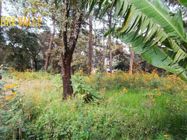 Terrain à vendre à Valle De Bravo, Mexico, Valle De Bravo