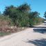 Terrain à vendre à Hunucma, Yucatan, Hunucma