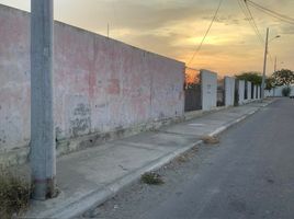  Grundstück zu verkaufen in Salinas, Santa Elena, Salinas, Salinas