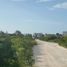  Grundstück zu verkaufen in Chicxulub Pueblo, Yucatan, Chicxulub Pueblo
