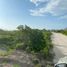  Grundstück zu verkaufen in Chicxulub Pueblo, Yucatan, Chicxulub Pueblo