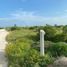  Grundstück zu verkaufen in Chicxulub Pueblo, Yucatan, Chicxulub Pueblo