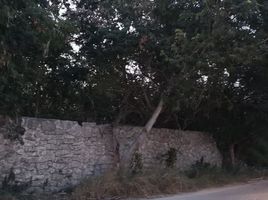  Grundstück zu vermieten in Merida, Yucatan, Merida, Yucatan