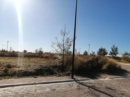  Land for sale in Lagos De Moreno, Jalisco, Lagos De Moreno