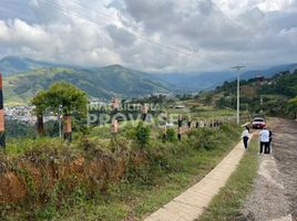  Terreno (Parcela) en venta en Chinacota, Norte De Santander, Chinacota