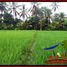  Land for sale in Kerambitan, Tabanan, Kerambitan