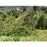  Land for sale in Penol, Antioquia, Penol