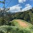  Land for sale in Penol, Antioquia, Penol