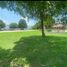  Land for sale in Zapopan, Jalisco, Zapopan, Jalisco