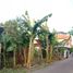 2 Bedroom House for sale in Pilangkenceng, Madiun, Pilangkenceng