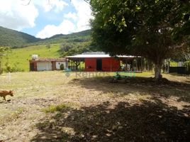  Terreno (Parcela) en venta en Tuxtla Gutierrez, Chiapas, Tuxtla Gutierrez, Chiapas