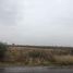  Land for rent in Jesus Maria, Aguascalientes, Jesus Maria