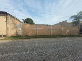  Land for rent in Guadalajara, Jalisco, Guadalajara