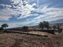  Terreno (Parcela) en venta en Jocotepec, Jalisco, Jocotepec