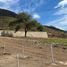  Land for sale in Jocotepec, Jalisco, Jocotepec
