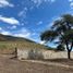 Land for sale in Jocotepec, Jalisco, Jocotepec