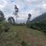  Land for sale in Ecuador, Tumbaco, Quito, Pichincha, Ecuador