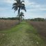  Land for sale in Guayaquil, Guayas, Guayaquil, Guayaquil, Guayas