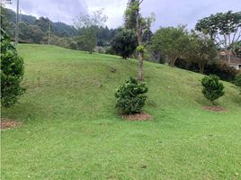 Terrain à vendre à Envigado, Antioquia, Envigado