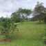 Terrain à vendre à Envigado, Antioquia, Envigado
