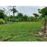  Land for sale in Boqueron, Chiriqui, Boqueron, Boqueron