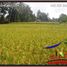  Land for sale in Ubud, Gianyar, Ubud