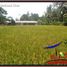  Land for sale in Ubud, Gianyar, Ubud