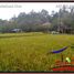  Land for sale in Ubud, Gianyar, Ubud