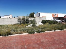 Grundstück zu verkaufen in Pachuca De Soto, Hidalgo, Pachuca De Soto