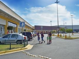  Terreno (Parcela) en alquiler en Zapotlanejo, Jalisco, Zapotlanejo