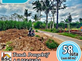  Land for sale in Ngajum, Malang Regency, Ngajum