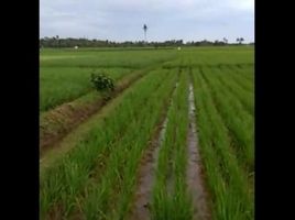  Tanah for sale in Sukabumi, West Jawa, Sukabumi, Sukabumi