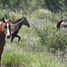  Grundstück zu verkaufen in Cadereyta Jimenez, Nuevo Leon, Cadereyta Jimenez
