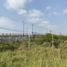  Land for sale in Altamira, Tamaulipas, Altamira