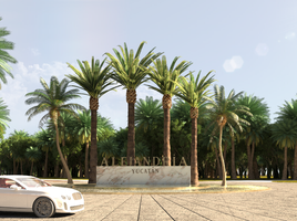 在Progreso, Yucatan出售的 土地, Progreso