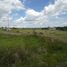  Land for sale in Tecamachalco, Puebla, Tecamachalco